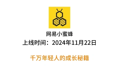 網易小蜜蜂宣傳介紹