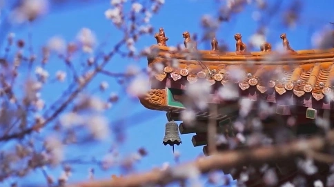 景点宣传片