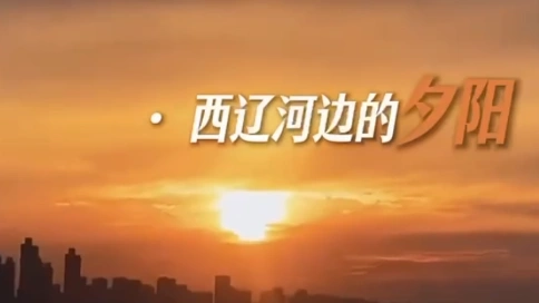 同城获客老板IPvlog