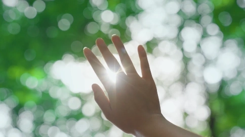 安琪宣传短视频