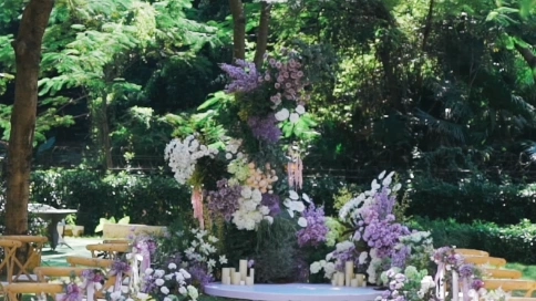 梦幻草坪婚礼