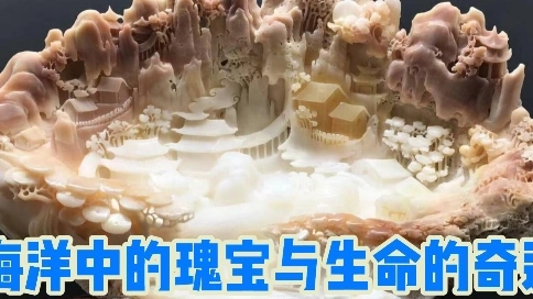 海洋中的瑰宝与生命的奇迹