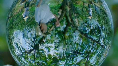 城市品牌 | 桐廬味道 Dir Cut