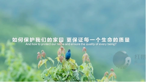 中碳能源（山東）股份企業(yè)宣傳片