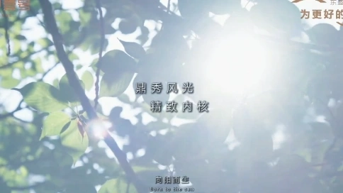 房地產營業部店內循環播放