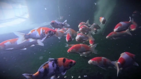 抽象-風格不確定