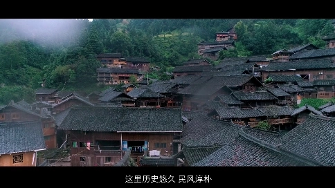 森林城市專題片