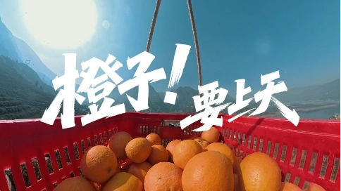《橙子要上天》| 湖北農(nóng)業(yè)農(nóng)村廳X新華社“荊楚有味”系列