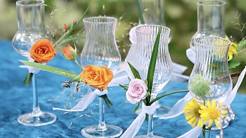 沙龍活動介紹視頻