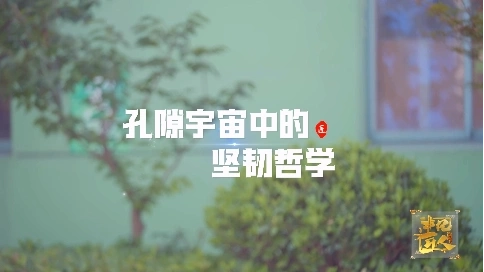 非凡匠人-《孔隙宇宙中的坚韧哲学》