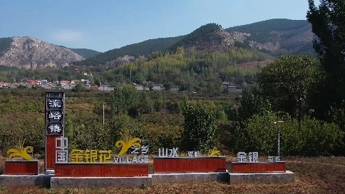 流域中药材