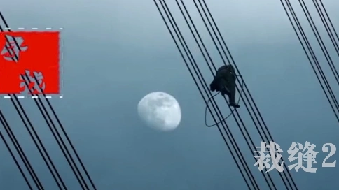 尋找英雄公益廣告