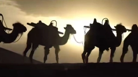 電商時代貿(mào)易之路