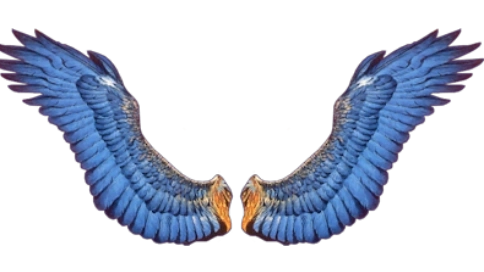 宜賓城市宣傳片