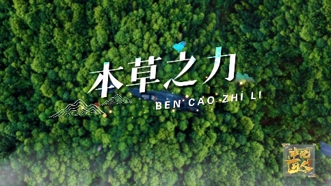非凡匠人-《本草之力》