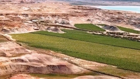 新疆瓜子产品溯源