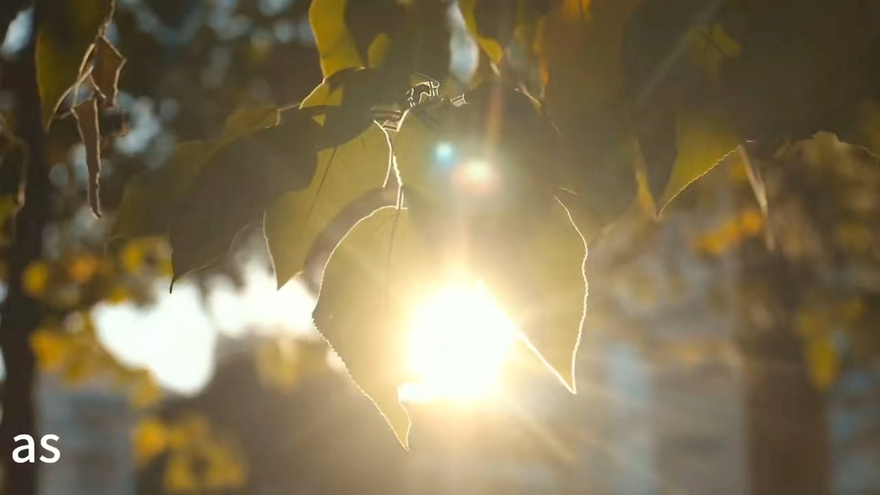 个人、宣传、店铺、