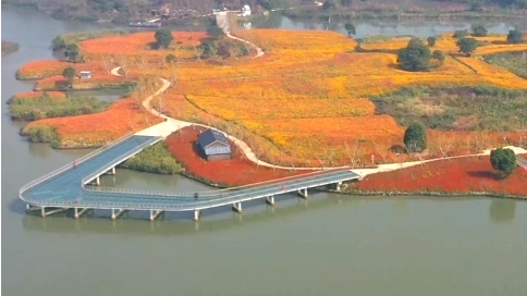 湿地秋天风景航拍