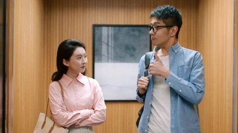 同仁堂参苓白术丸