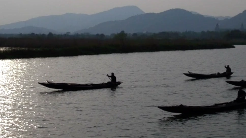 德清县 下渚湖 湿地 风光