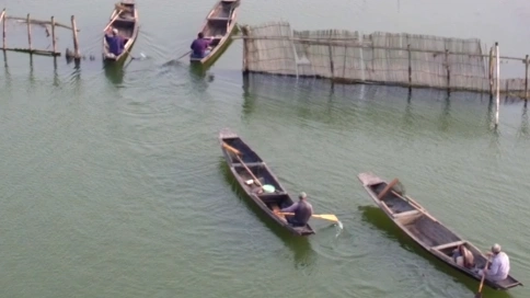 德清县 下渚湖 湿地 风光