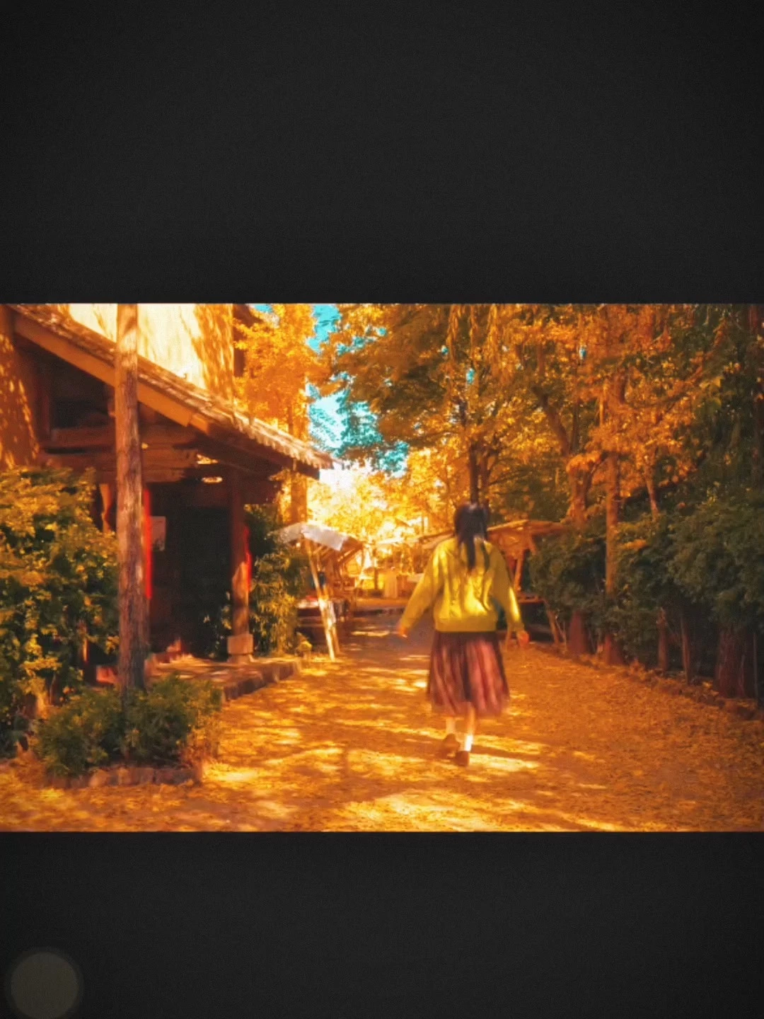 秋，是枝头那抹热烈的红，是地上那片温柔的