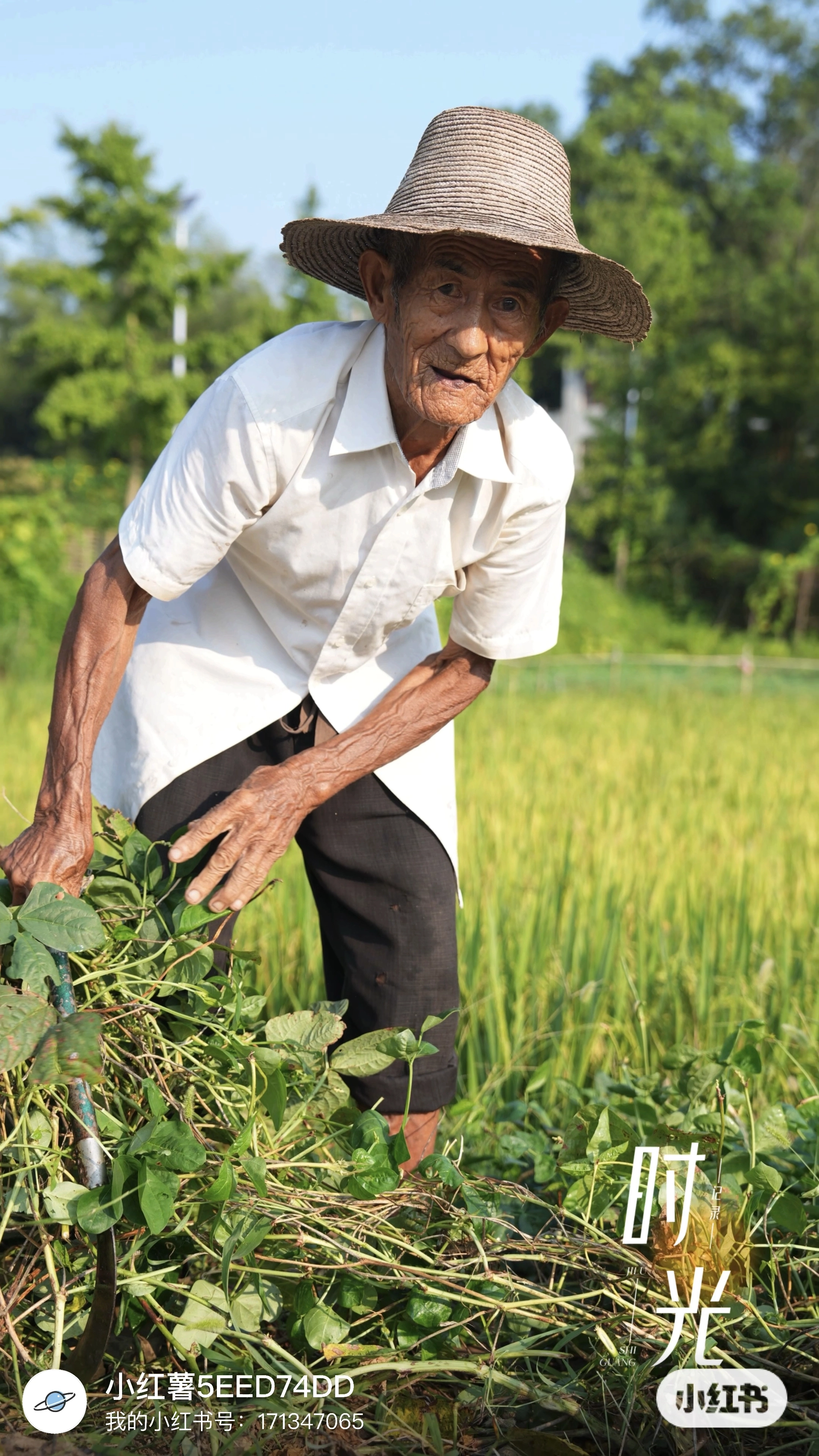 最能吃苦的一代人