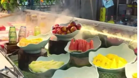 探店视频 探店奋斗者