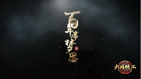 大国精工-《百年席梦思》