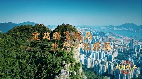 大国精工-《金龙腾飞只为生产一张好板》