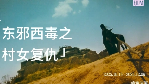 东邪西毒之村女复仇