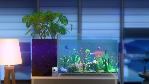 【沼泽鱼缸】- 3D动画 产品展示