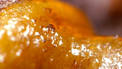 江西菜鸡 、鸭、鱼