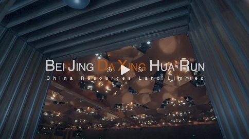 北京大兴机场商务部 小视频2