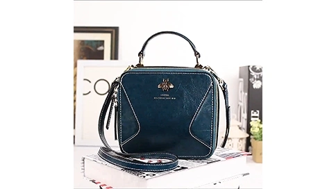 阿尔皮娜单肩包主图视频