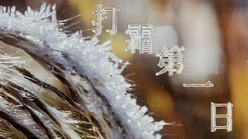 微观摄影剪辑案例