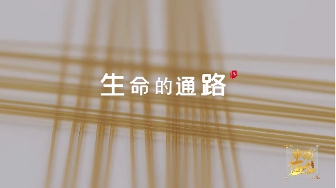 非凡匠人-《生命的通路》