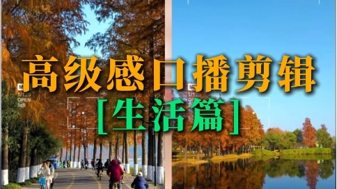 生活类网感口播剪辑