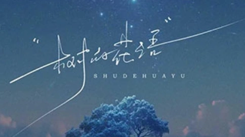 自制AI视频，自己的结婚纪念日短视频