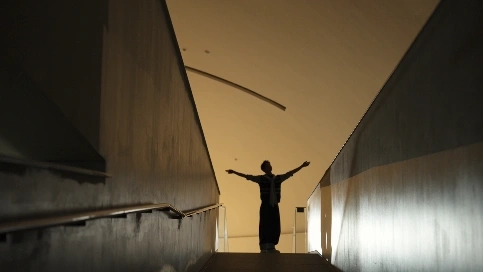 第十届中国北京国际美术双年展-艺人形象宣传片A