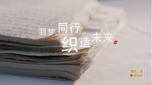 非凡匠人-《羽梦同行 织造未来》