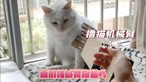 《萌喵保卫战》游戏短视频