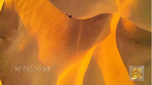 非凡匠人-《葡萄架下的楼兰》