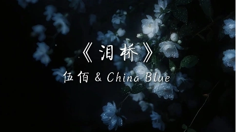 ⟪泪桥⟫ 情绪MV 