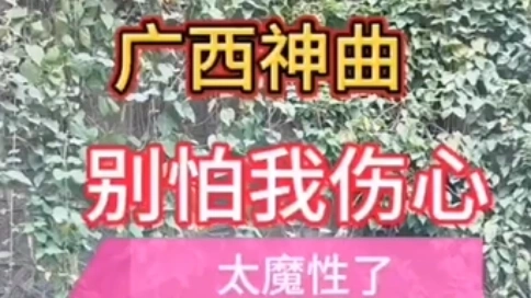 广西神曲火了 别怕我伤心 完整版