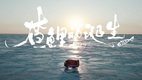 《“查鲤”的诞生》｜京东生鲜