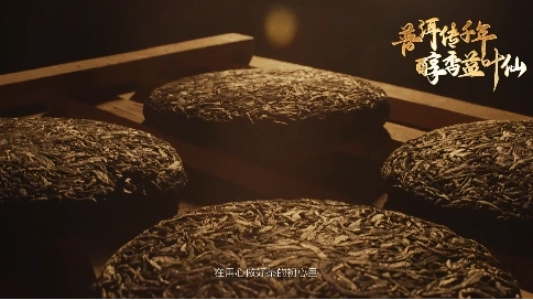 益叶鲜茶叶宣传片