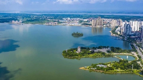 时光深处的绽放