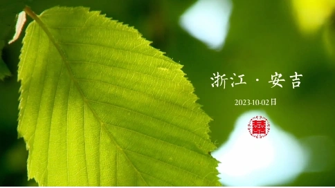 婚姻纪实记录感动瞬间微电影