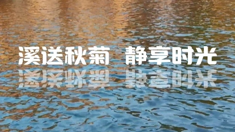 溪送秋菊静享时光